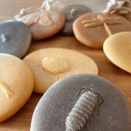 Bugs - Exploration Stones