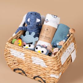 Car Baby Hamper